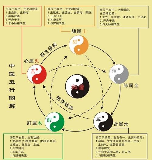 從四柱八字看你的健康狀況是怎么樣的1