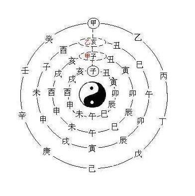 四柱所代表的身體器官和具體部位1