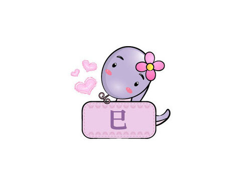 十二地支詳解 —— 巳2