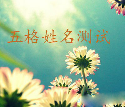 最新5格姓名測試大全1