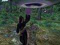 《上古卷軸5 天際》靈魂石冢背景及生物解析7