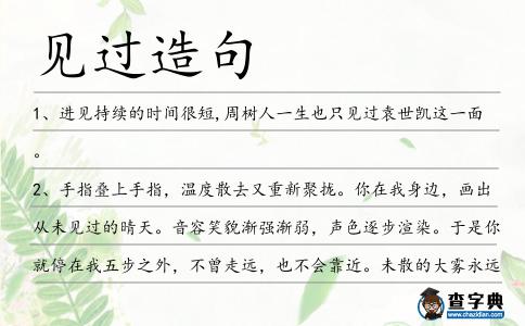 見(jiàn)過(guò)造句