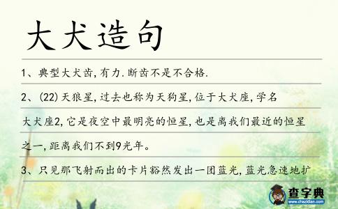 大犬造句