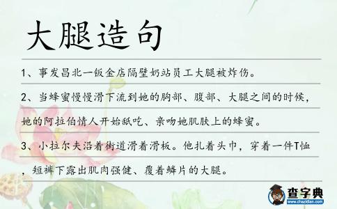 大腿造句