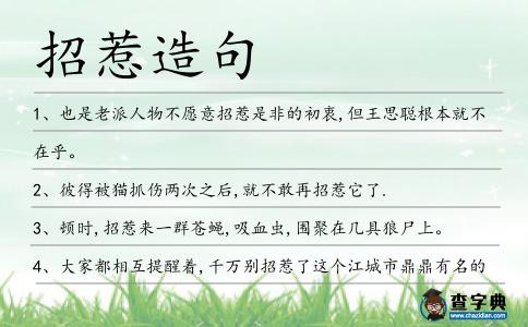 招惹造句