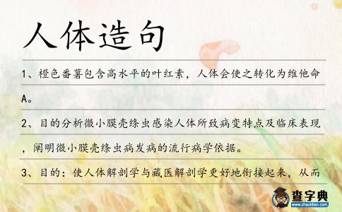 人體造句