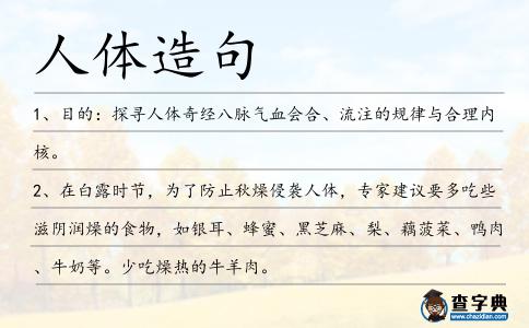 人體造句