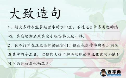 大致造句