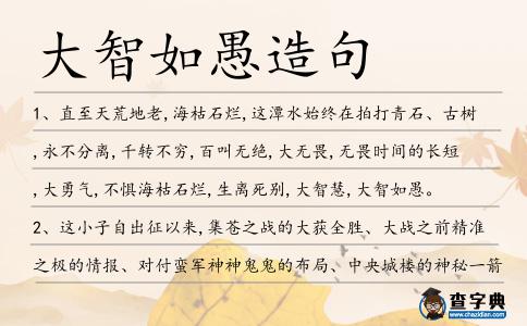 大智如愚造句