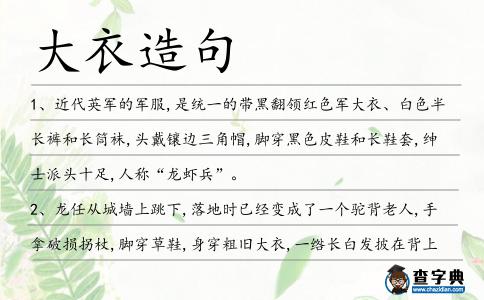大衣造句