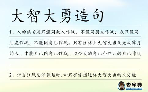 大智大勇造句