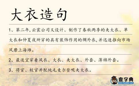 大衣造句