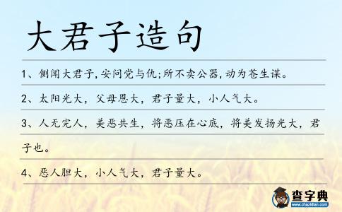 大君子造句