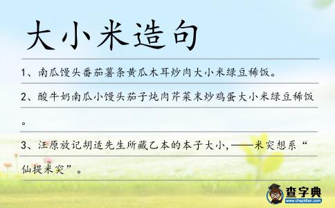大小米造句