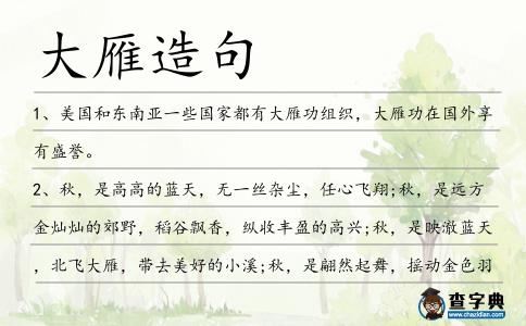 大雁造句
