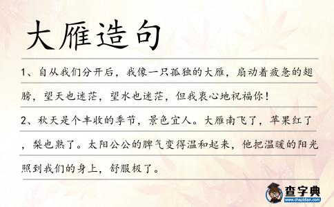大雁造句