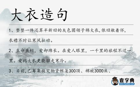 大衣造句