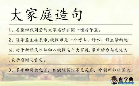 大家庭造句