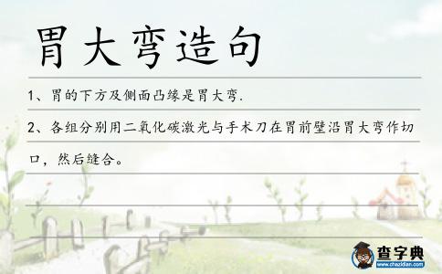 胃大彎造句