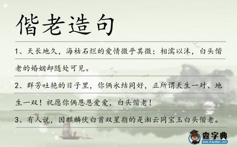 偕老造句