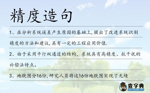精度造句