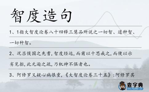 智度造句