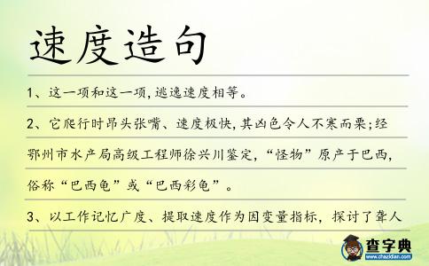 速度造句