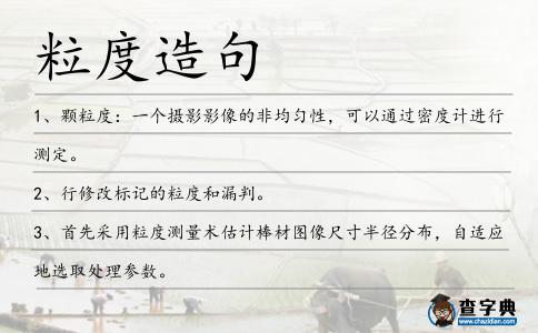 粒度造句