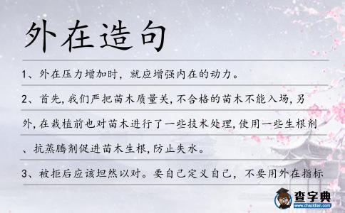 外在造句