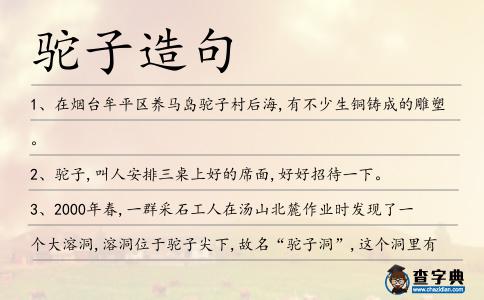 駝子造句