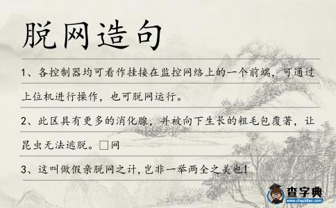 脫網(wǎng)造句