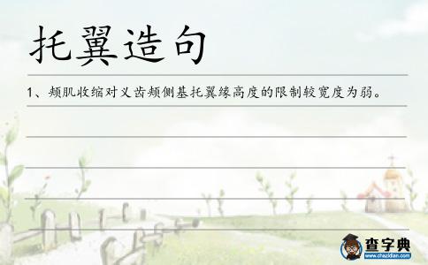 托翼造句