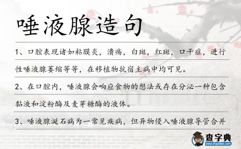 唾液腺造句