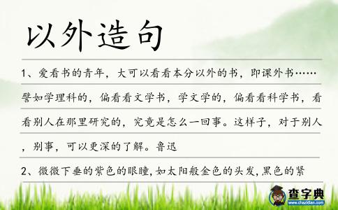 以外造句