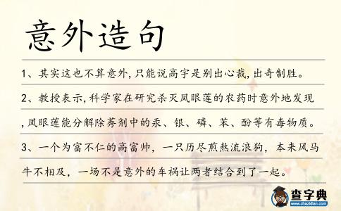 意外造句