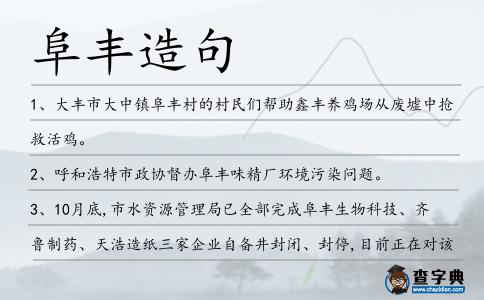 阜豐造句