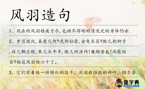 風(fēng)羽造句