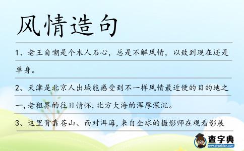 風情造句