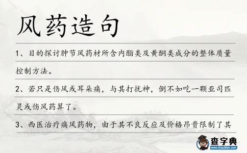 風藥造句