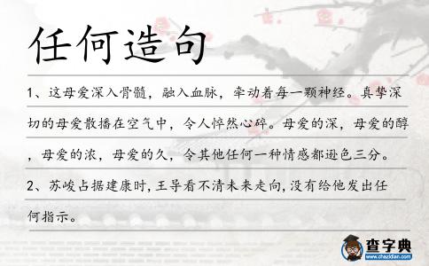 任何造句