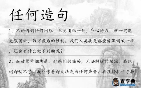 任何造句