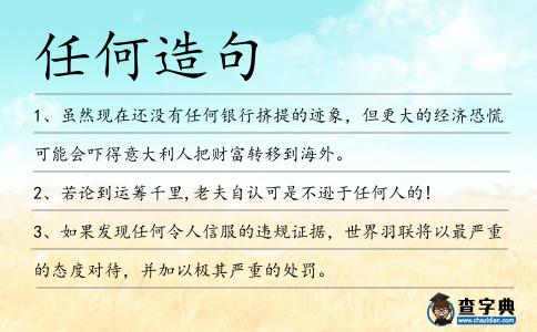 任何造句