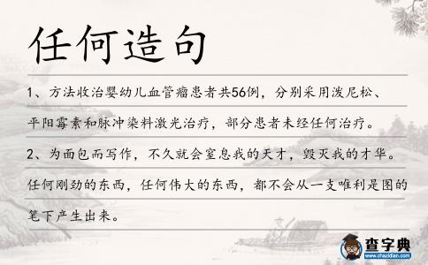 任何造句