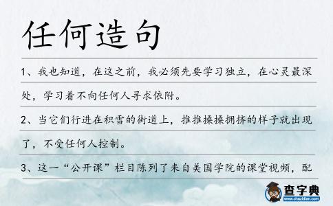 任何造句