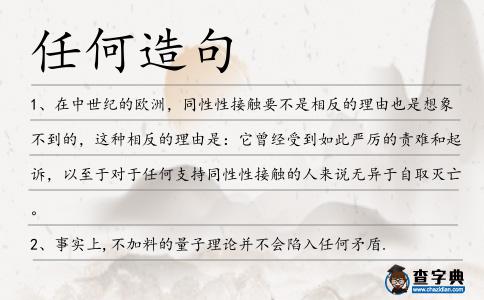 任何造句