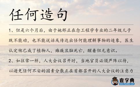 任何造句
