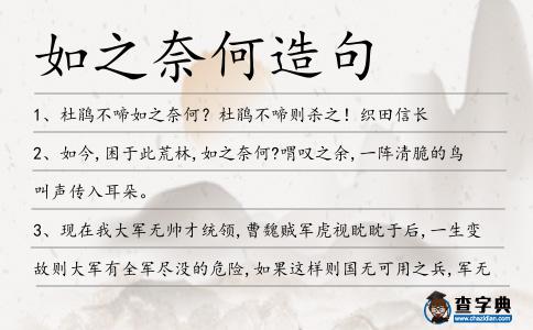 如之奈何造句