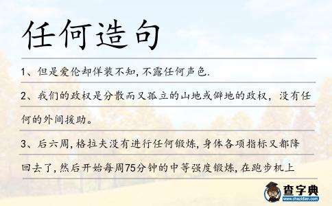 任何造句