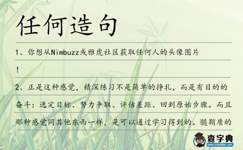 任何造句