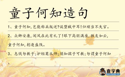童子何知造句